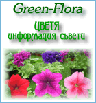 Green Flora